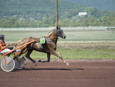 Hippodrome